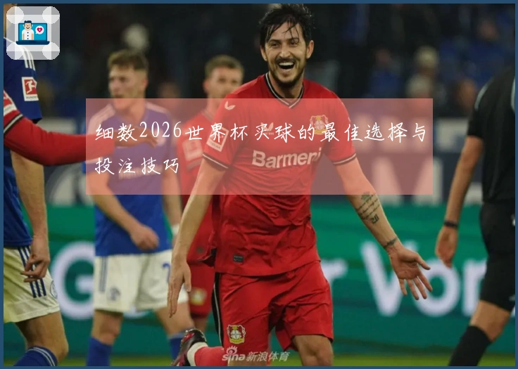 细数2026世界杯买球的最佳选择与投注技巧