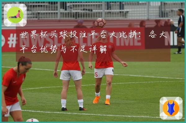 世界杯买球投注平台大比拼：各大平台优势与不足详解