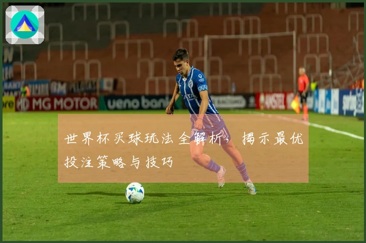 世界杯买球玩法全解析，揭示最优投注策略与技巧