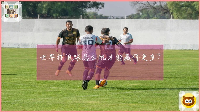世界杯滚球怎么玩才能赢得更多？