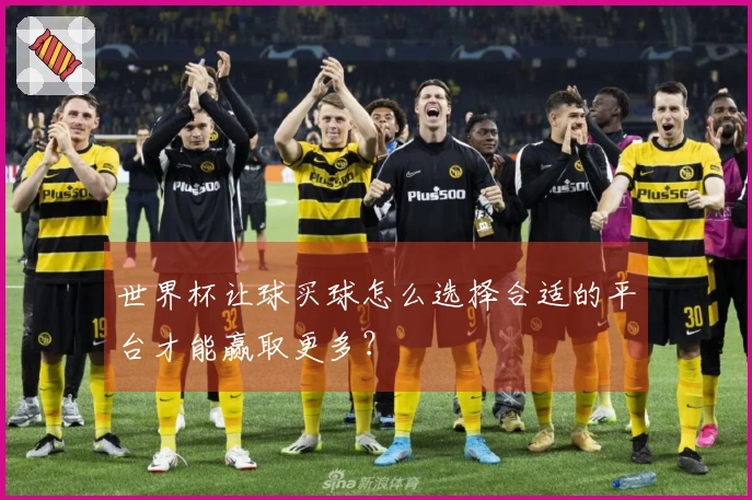 世界杯让球买球怎么选择合适的平台才能赢取更多？