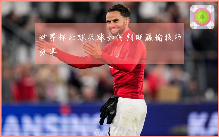 世界杯让球买球如何判断赢输技巧分享