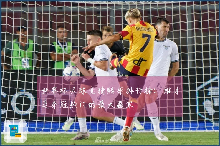 世界杯买球竞猜赔率排行榜：谁才是夺冠热门的最大赢家