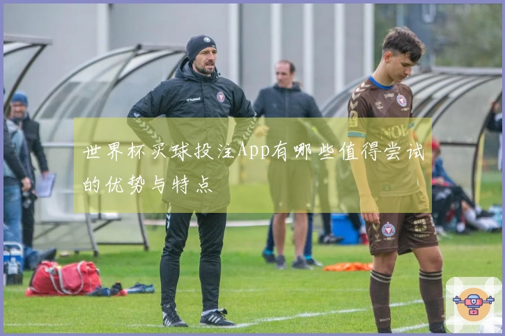 世界杯买球投注App有哪些值得尝试的优势与特点