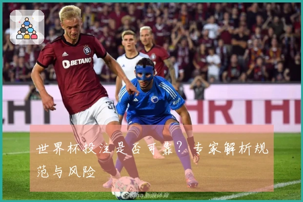 世界杯投注是否可靠？专家解析规范与风险