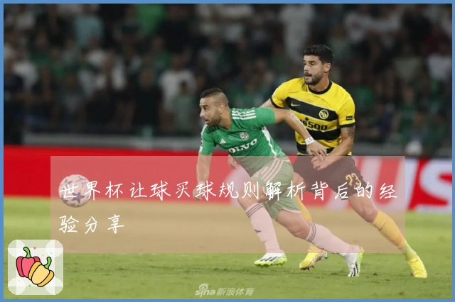世界杯让球买球规则解析背后的经验分享