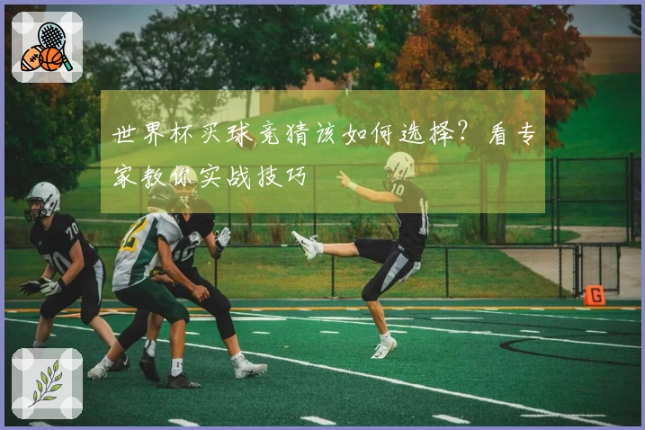 世界杯买球竞猜该如何选择？看专家教你实战技巧