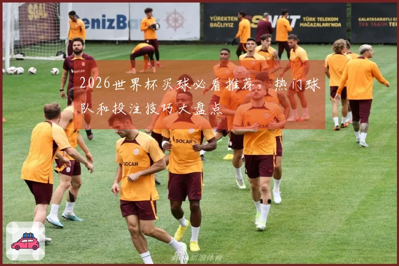 2026世界杯买球必看推荐，热门球队和投注技巧大盘点