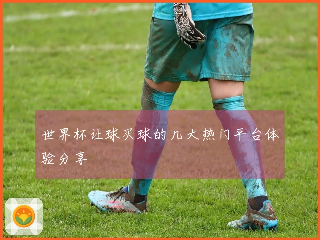 世界杯让球买球的几大热门平台体验分享