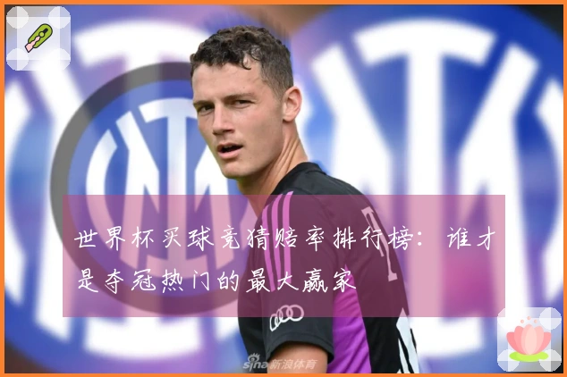 世界杯买球竞猜赔率排行榜：谁才是夺冠热门的最大赢家