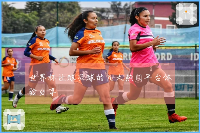 世界杯让球买球的几大热门平台体验分享