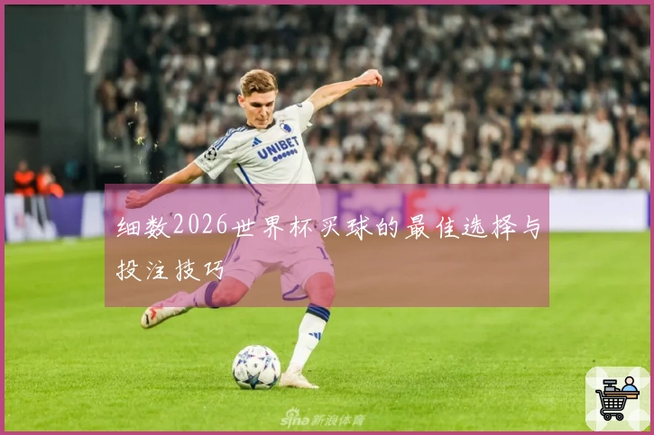细数2026世界杯买球的最佳选择与投注技巧